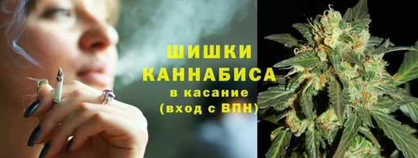 Альфа ПВП Бикин