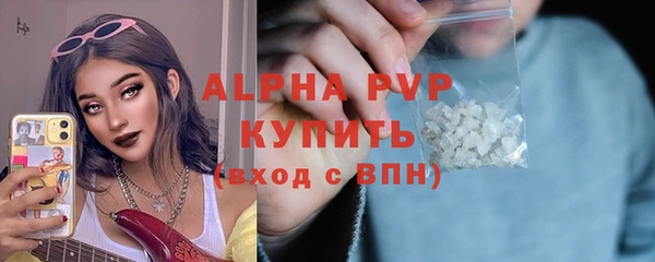соль ск Новозыбков