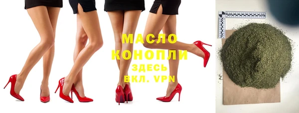 соль ск Новозыбков