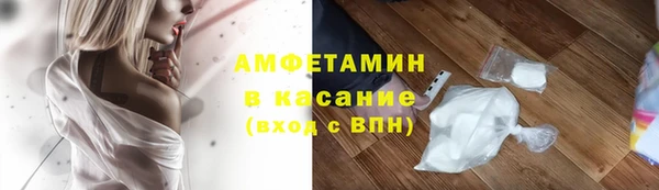 соль ск Новозыбков