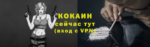 Альфа ПВП Бикин