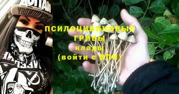 круглые Билибино