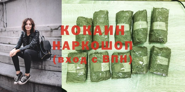 Альфа ПВП Бикин