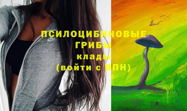 круглые Билибино