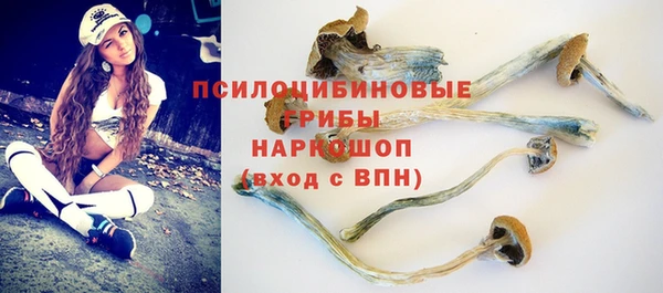 соль ск Новозыбков