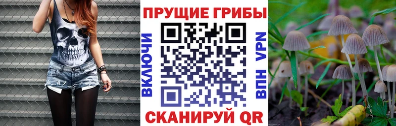 mega зеркало  Тетюши  Галлюциногенные грибы ЛСД 